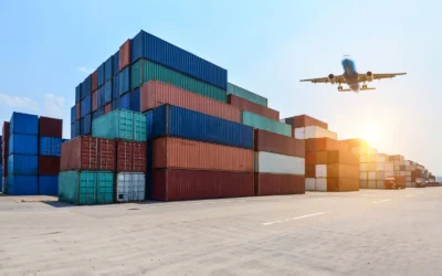 The Geopolitics of the Wallet: Decoding the Global Supply Chain War