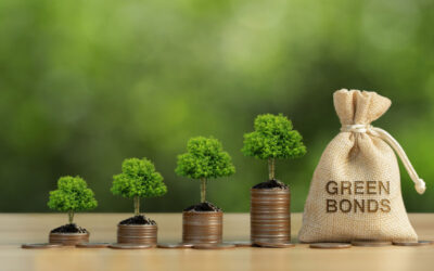 GREEN BONDS: FINANCING SUSTAINABLE DEVELOPMENT AND ENVIRONMENTAL INITIATIVES
