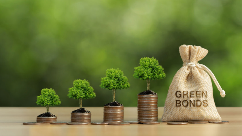 GREEN BONDS: FINANCING SUSTAINABLE DEVELOPMENT AND ENVIRONMENTAL INITIATIVES